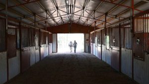 stables interior