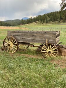 wagon on field