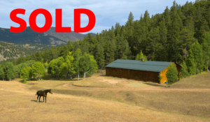 SOLD ranch property in colorado