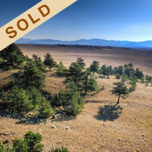 Elkhorn B Sold