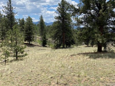 Beautiful lot, gentle rolling slope plus level areas, great views